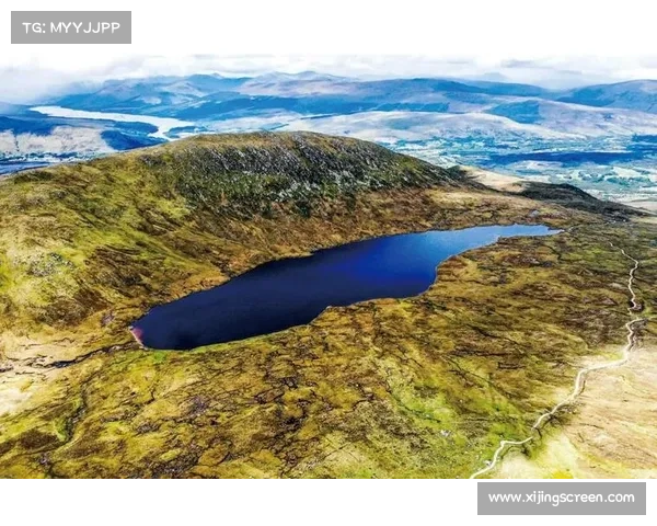 七大关键要素助你掌握在神秘荒岛中顽强生存的终极生存技巧