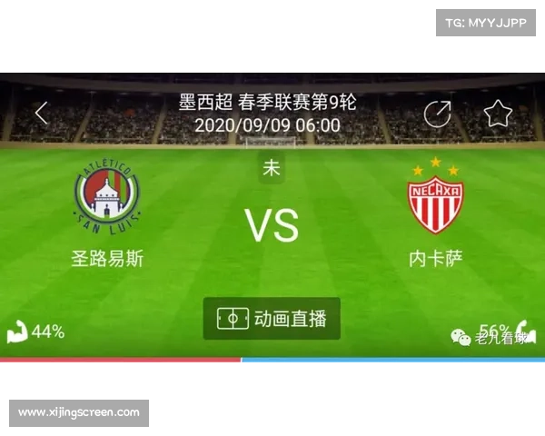 围绕2023欧国联开赛时间的赛事背景与影响深度解析全面解析其历史意义