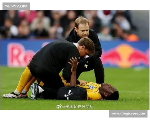 探寻维尔贝克黑贝称号背后的五大原因