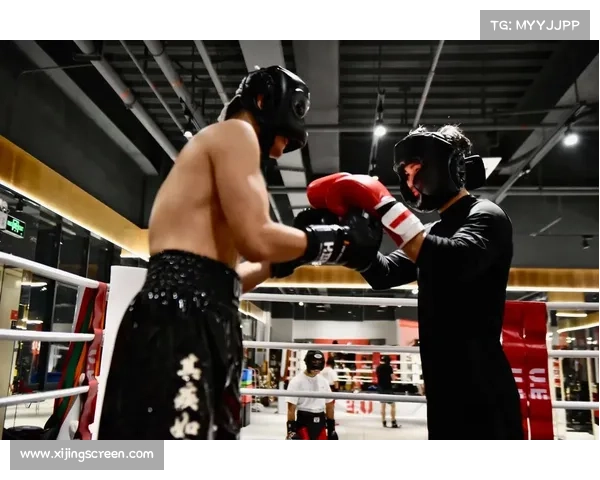 拳击比赛精彩节目与赛制操作手册全面解析与实战指导